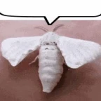 Comprehensible death voice changer