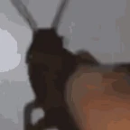 roach emperor voice changer