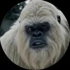 Yeti Boo voice changer