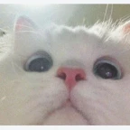 nice and mid deep voice changer