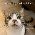 Stinkie voice changer