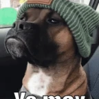 RP voice change voice changer