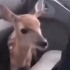 Slightly muffled voice changer