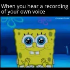 my recording voice voice changer