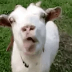 LPC eccho voice changer