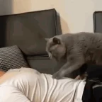 Realmale voice changer