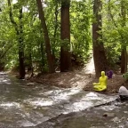 Forest King (EDITED) voice changer