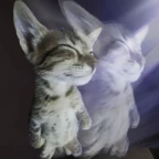 Glitchy voice changer