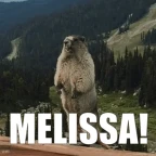 Melissa voice changer