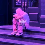 VEEV DWP 2025 voice changer