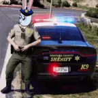 Police car radio voice changer