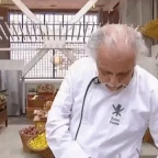 robitch voice changer