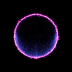 Frame Perfect voice changer