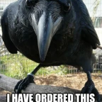 The crow voice changer