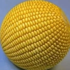 corn ball voice changer