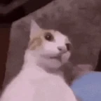 Nova Voice changer voice changer