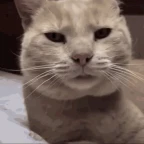 ear shater voice changer