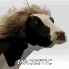 Magestic voice changer