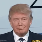 Donald Trump voice changer