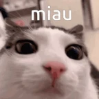 miau voice changer