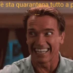 Arnold bananero voice changer