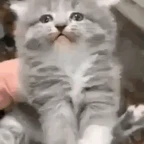 Glitch Voice voice changer