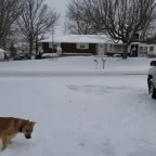 deep scary echo voice changer