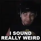 Meine neue Stimme voice changer