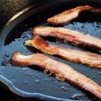 bacon 1x1x1x1 voice changer