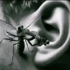 Ear Bleeder voice changer