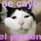 Earape voice changer