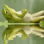 chill day voice changer