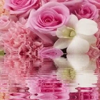 mythical rosa voice voice changer