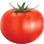 pomidor voice changer