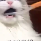 sigma ahh voice voice changer