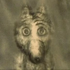 iwrwfww voice changer