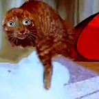 ball cancer + brain damage voice changer