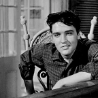 PIGBACK VINTAGE voice changer