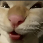 guiziguzu voice changer