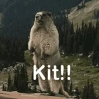 Kit voice changer