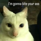 bluudude a bit accuracte voice changer