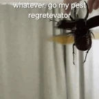 pest voice changer