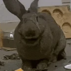 Bunz AF mic voice changer