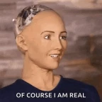 ROBOT WOMAN voice changer