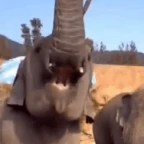 Helicopter voice changer