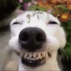 SMILE voice changer