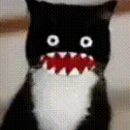 drakobloxxer voice changer