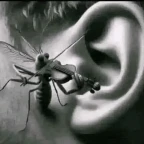 mosquito voice changer
