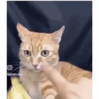 multiple voice changer