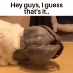 thing voice voice changer